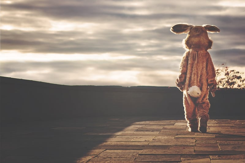 Whimsical Costumes