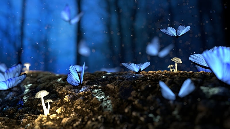 Nature Decor